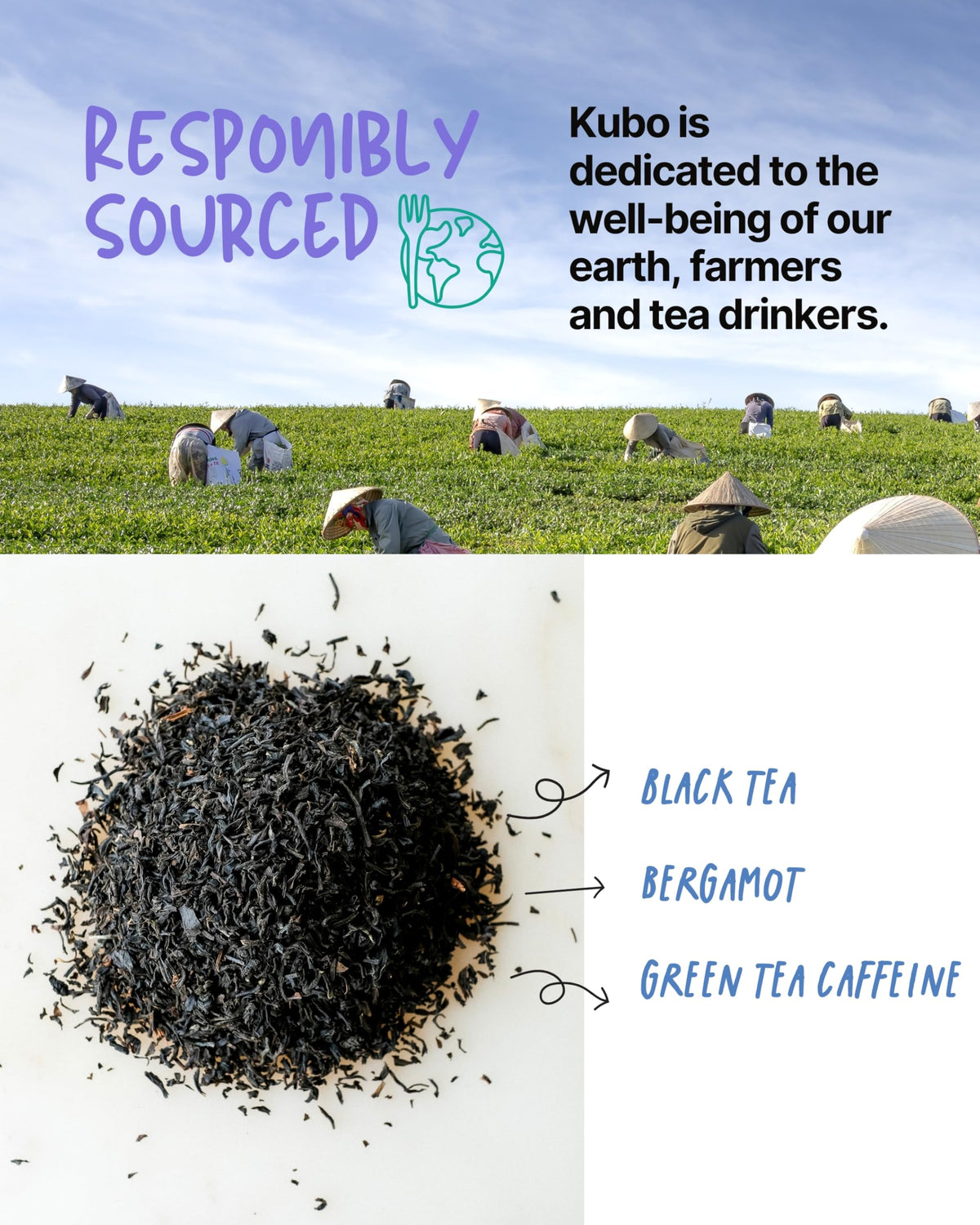 Kubo Tea Earl Grey tea bag steeping to release rich bergamot aroma.