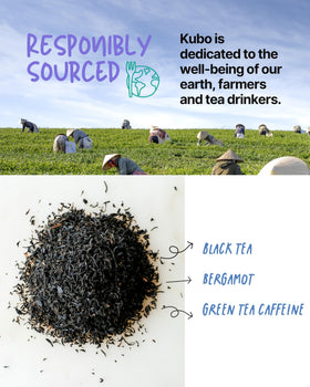 Kubo Tea Earl Grey tea bag steeping to release rich bergamot aroma.