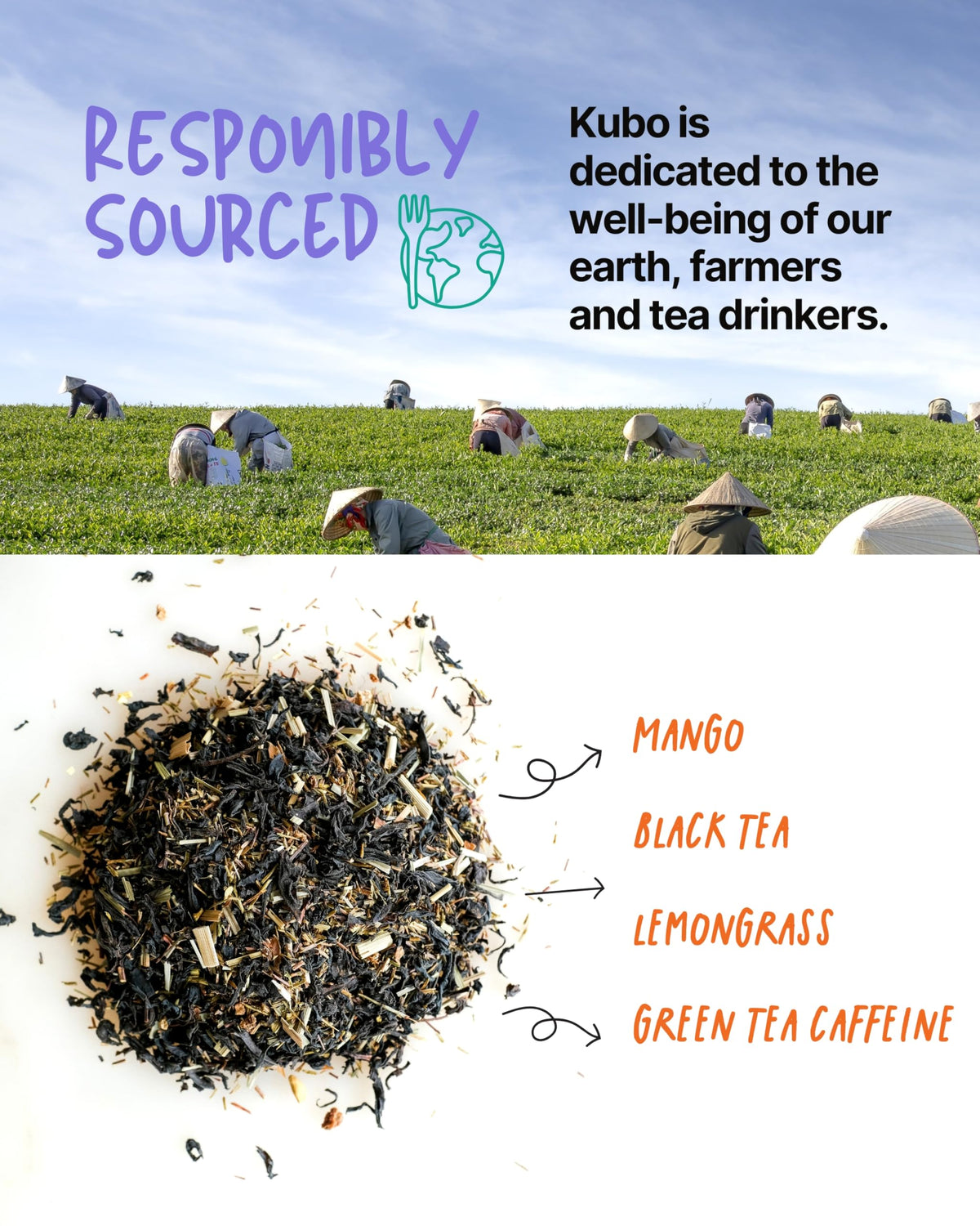 Kubo Tea energy-morning-cup delivers smooth focus for busy days.