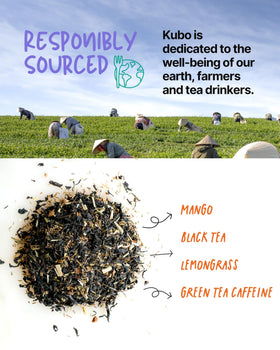 Kubo Tea energy-morning-cup delivers smooth focus for busy days.