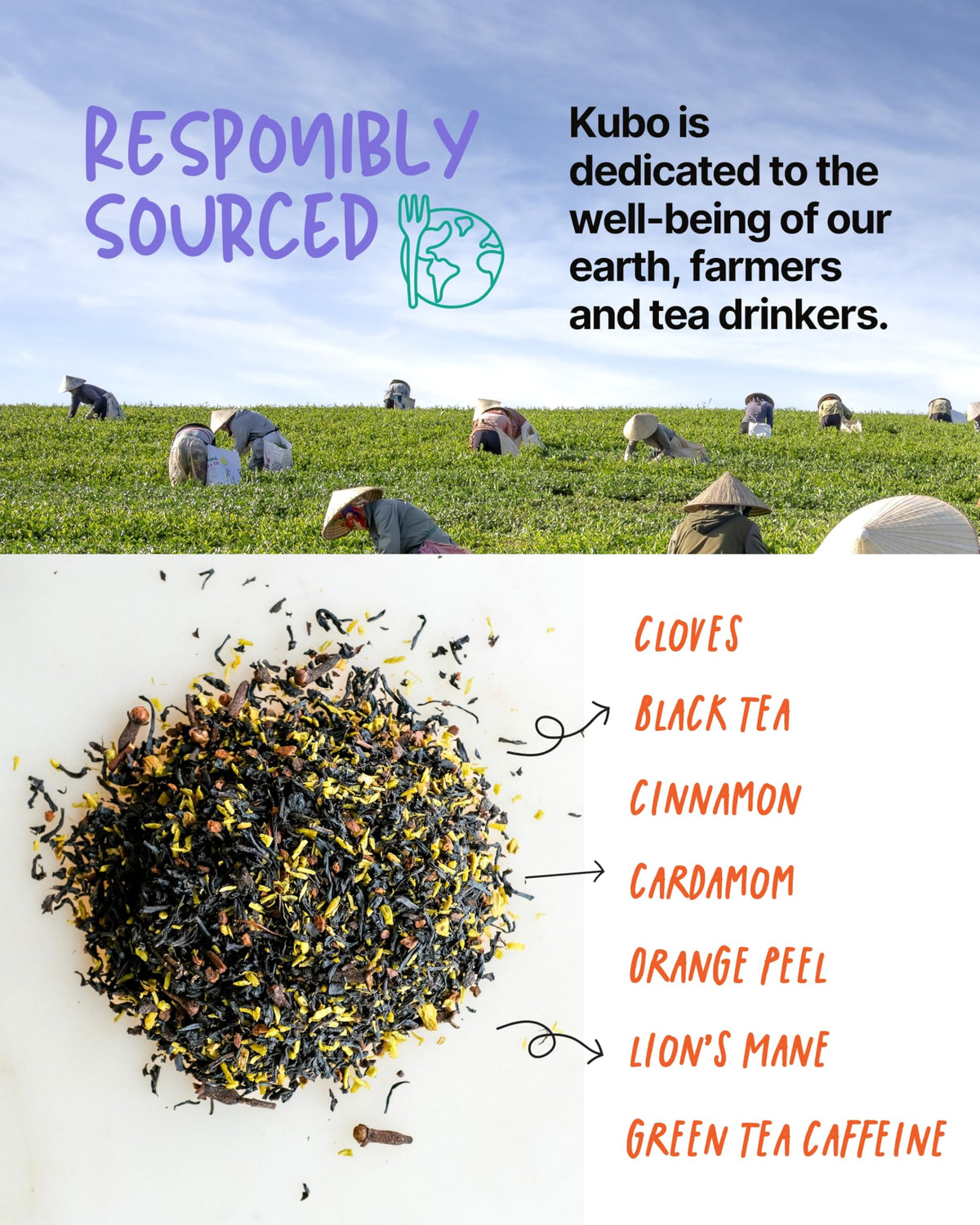 Kubo Tea Lions Mane chai packaging highlighting organic ingredients for clean energy.