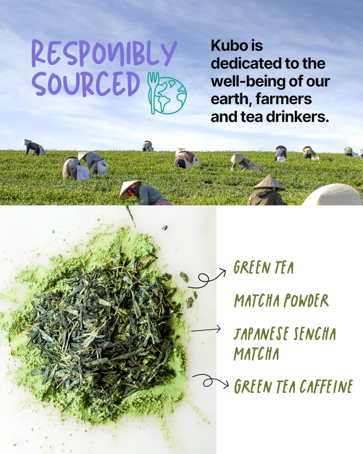 Kubo Tea organic certification by Oregon Tilth for clean ingredients