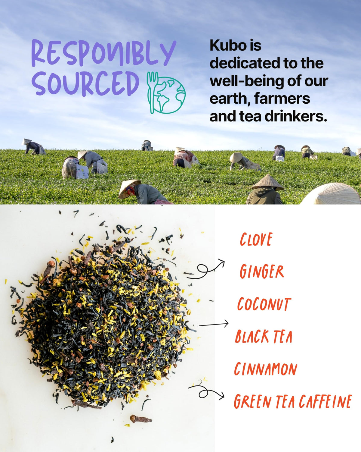 Kubo Tea organic coconut blend supports clean energy and focused alertness