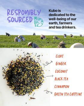 Kubo Tea organic coconut blend supports clean energy and focused alertness