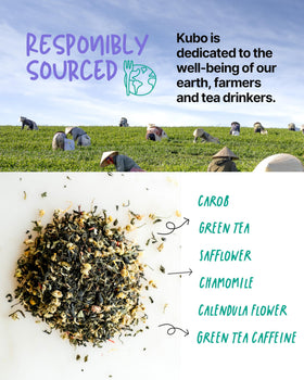 Kubo Tea organic green tea extract ingredients panel highlighting pure components