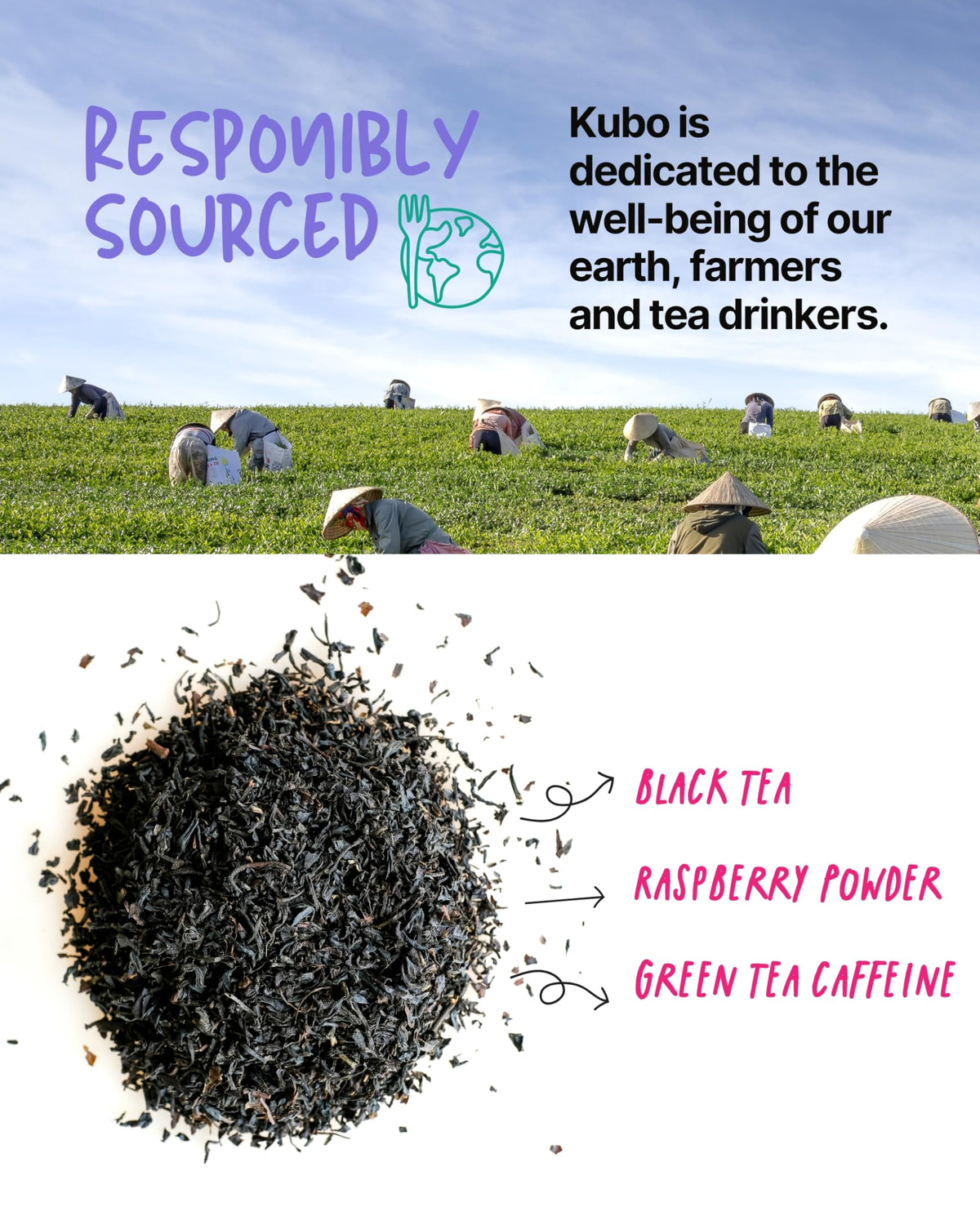 Kubo Tea Raspberry black tea cup highlights bold flavor and focus.
