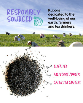 Kubo Tea Raspberry black tea cup highlights bold flavor and focus.