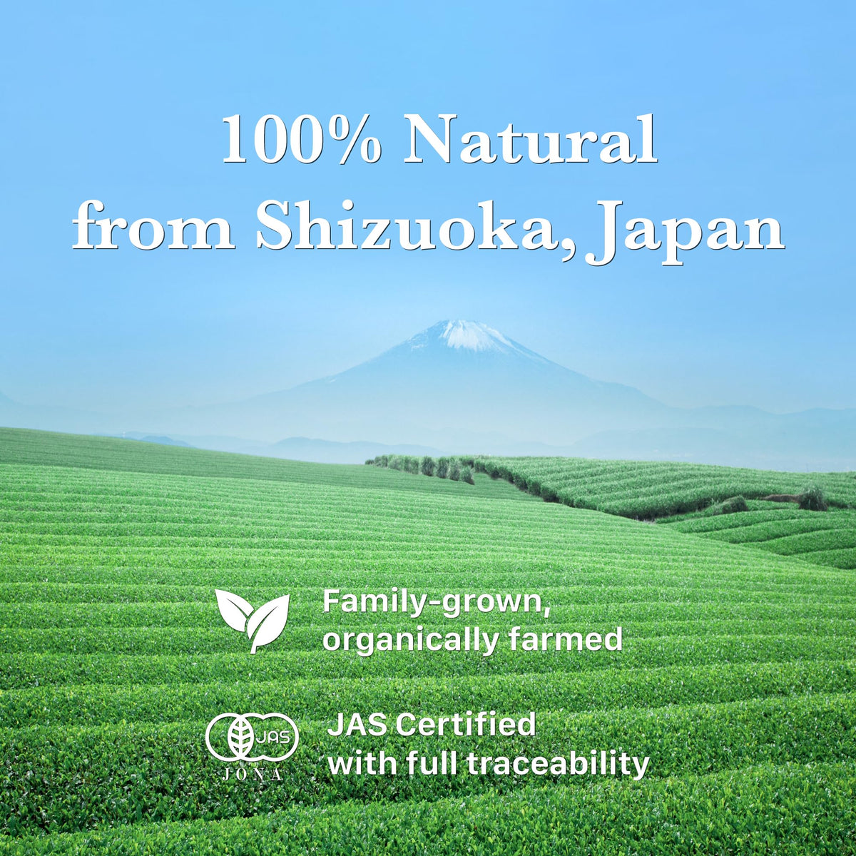 KYOHAYASHIYA Daichi organic matcha packaging, compact 30 g for storage.