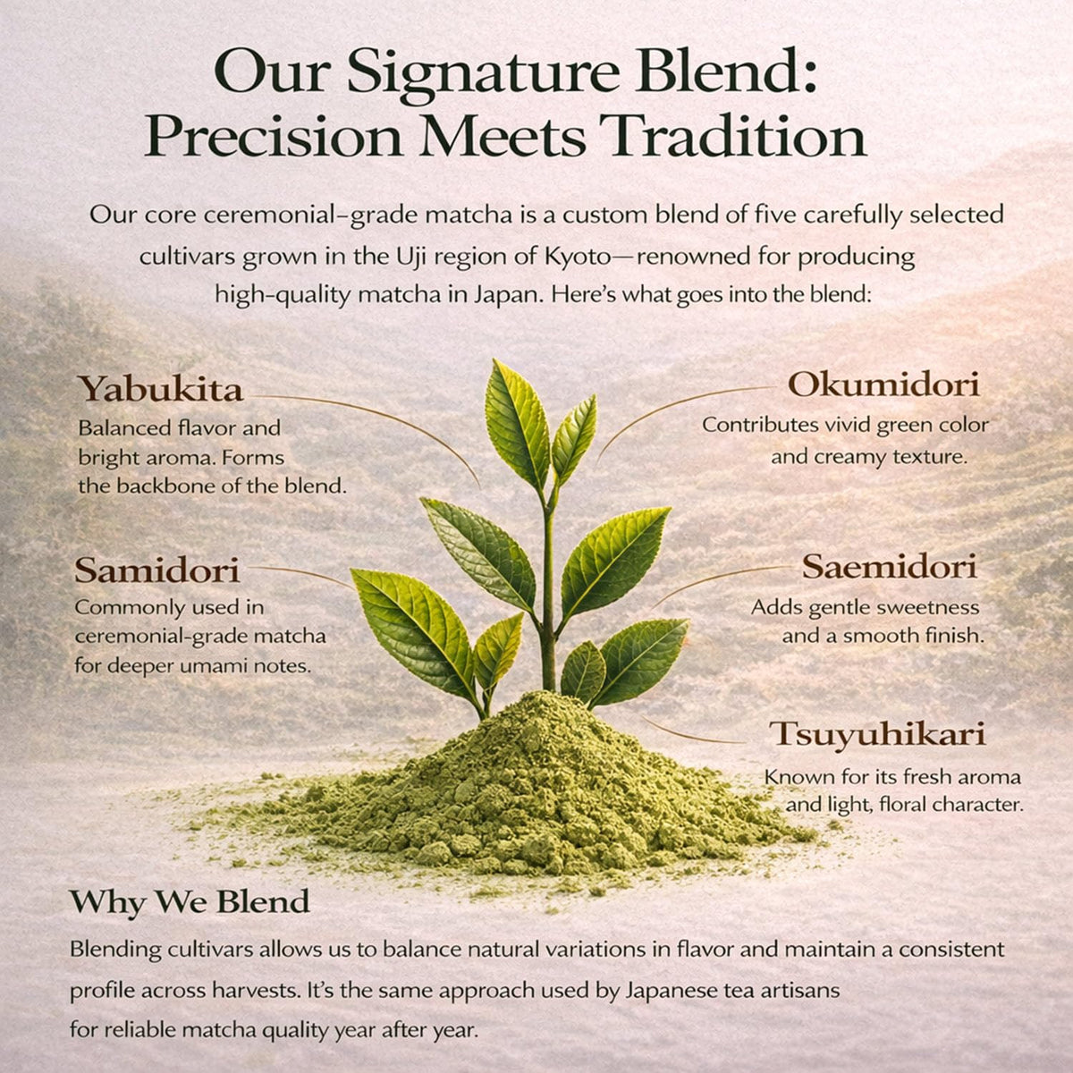 Kyoto Dew Matcha unopened packaging signals freshness and authentic origin.