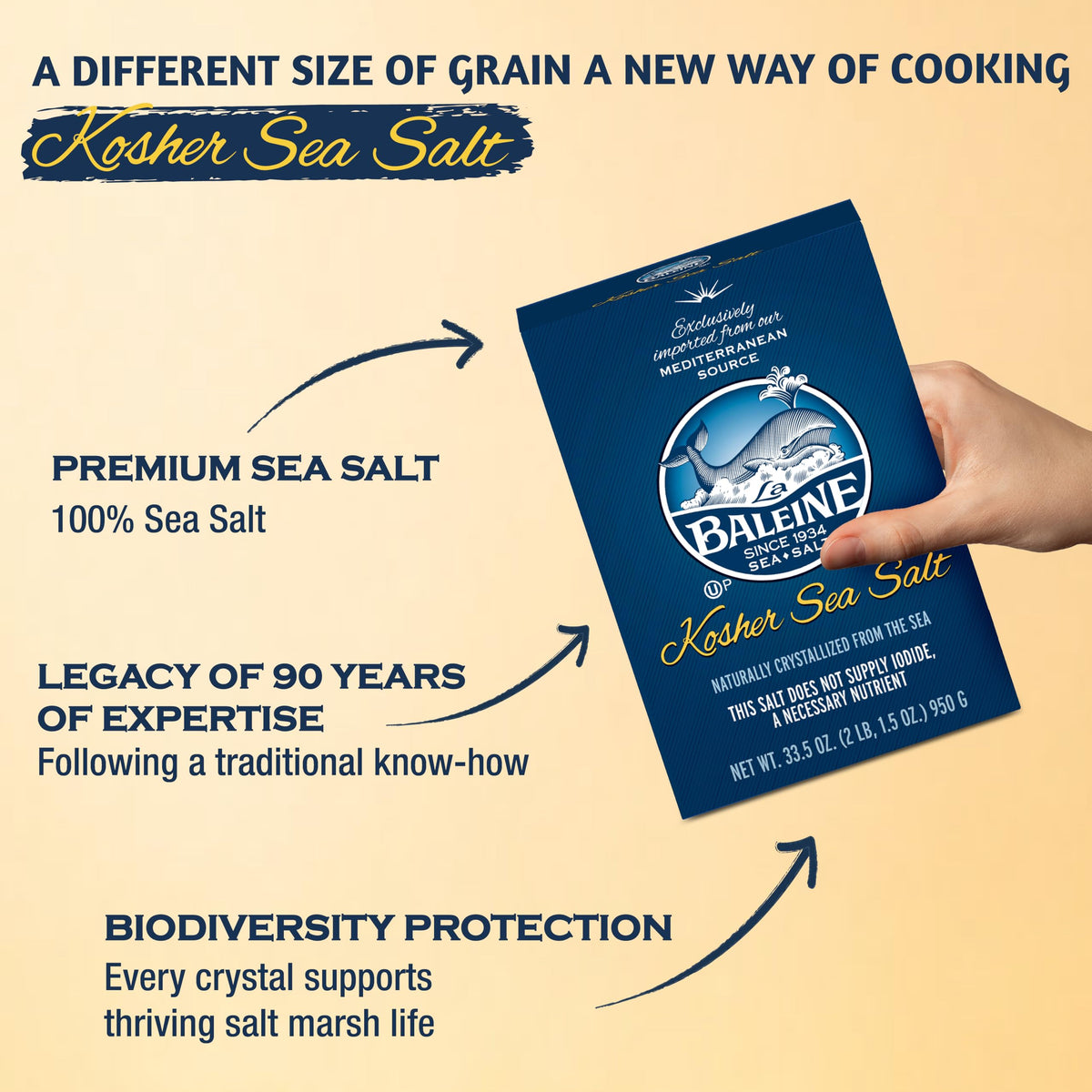 Salt dusting over a dish demonstrating even seasoning with La Baleine.