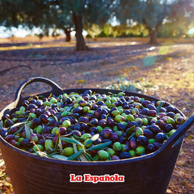 La Española 1840s tin packaging protecting freshness and flavor from light exposure.