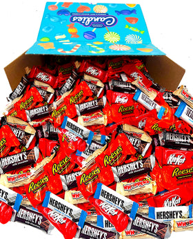 LA Signature Fun Mix assorted chocolates in bulk, ideal for gifts and gatherings.