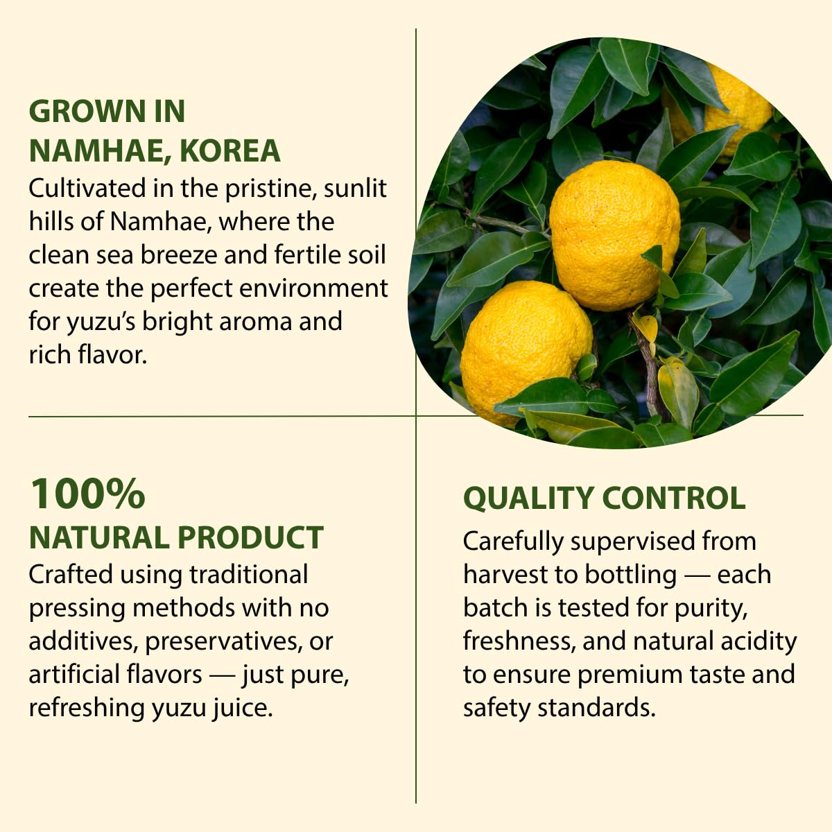 LA VOIE FOODS Korean yuzu juice glass showcases refreshing citrus accent