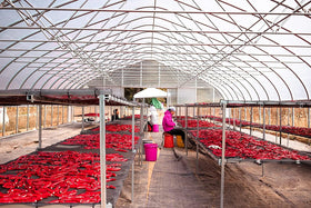 Estate panorama of Lakehouse Farms Bloomsburg suggests sustainable farming.