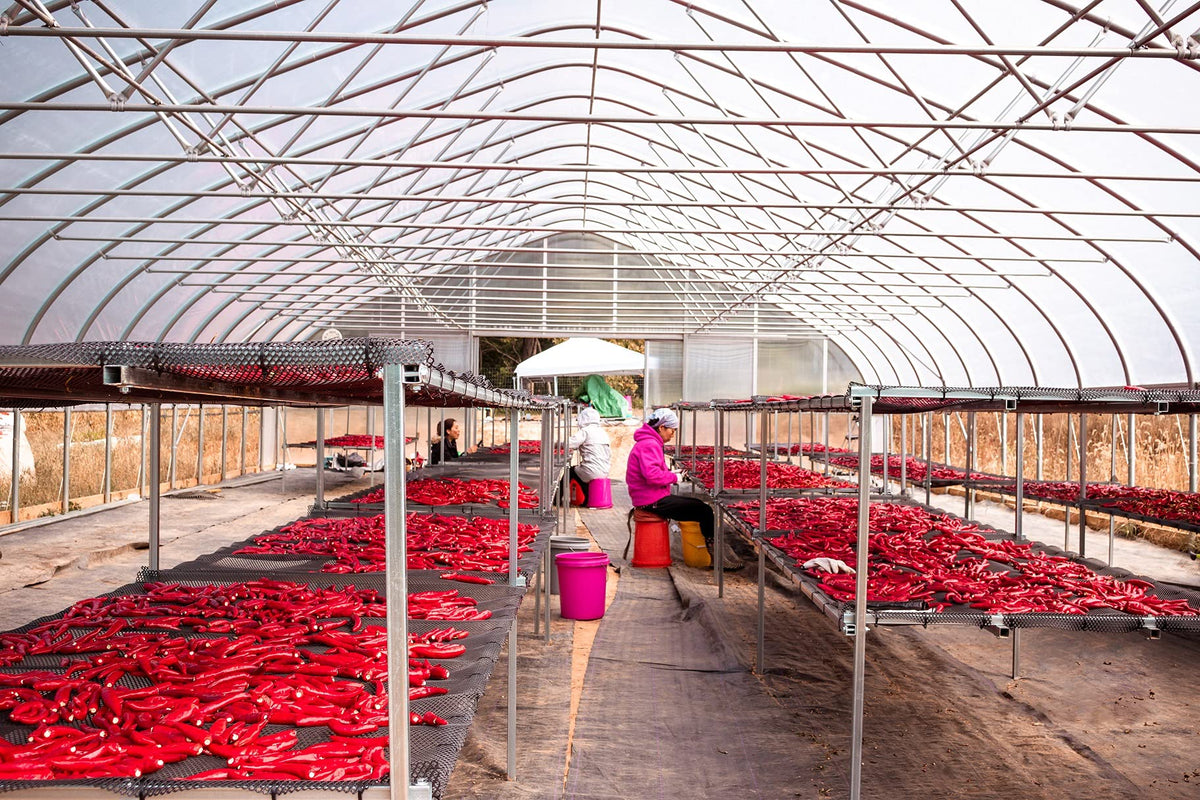 Lakehouse Farms field view estate emphasizes sustainable, natural farming on a large terroir.