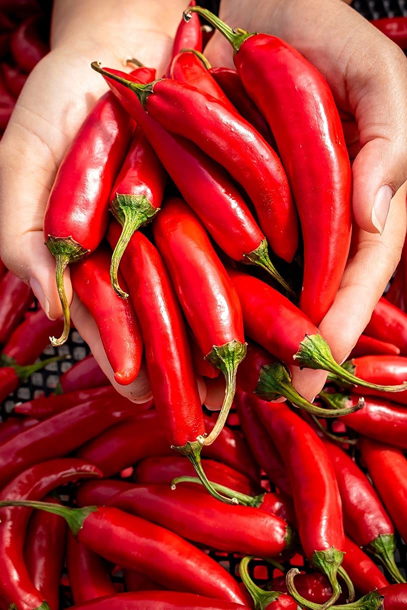 Lakehouse Farms Gochugaru label highlights US-grown, organic certification.