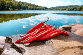 Lakehouse Farms packaging closeup highlights clean, US-grown organic peppers.