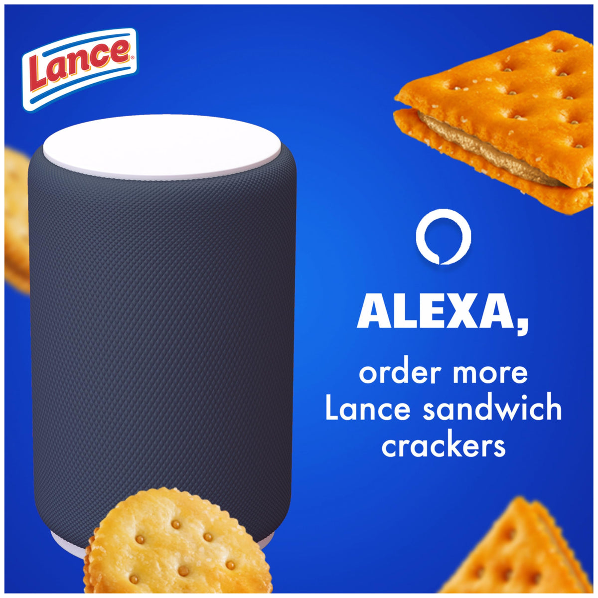 Two Toasty crackers on a plate ready for a quick snack by Lance.