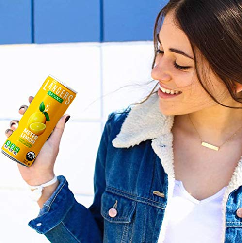 Chilled Langers Meyer Lemon sparkling water on ice with zero calories