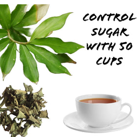 Lanka Flavors Costus Igneus leaves on a drying tray showing air-dried freshness