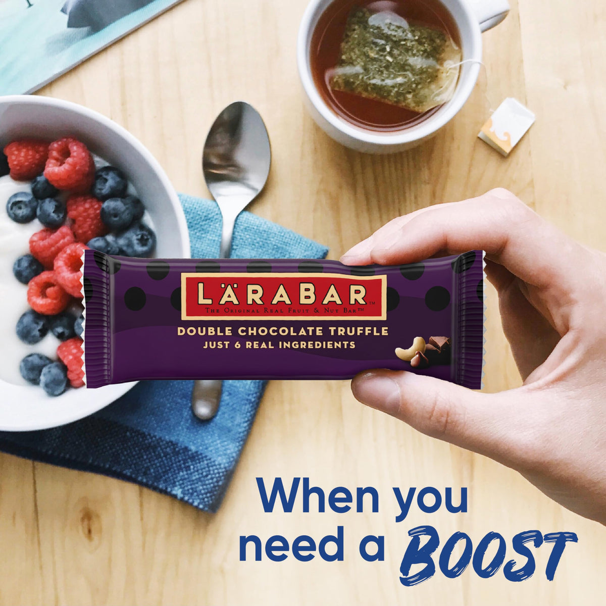 Larabar natural sea salt accent on chocolate bar.