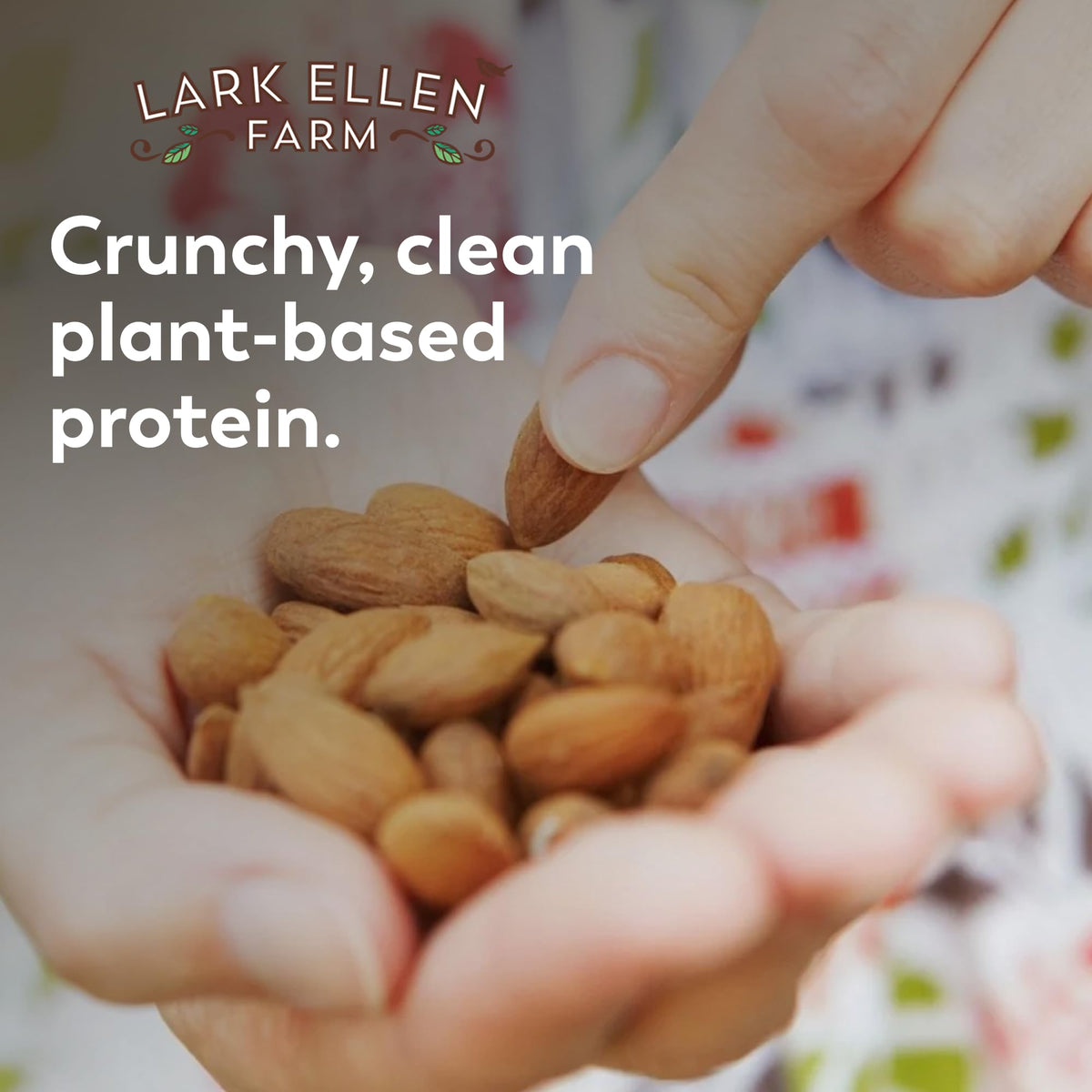 Lark Ellen Farm paleo-friendly and vegan snack packaging.