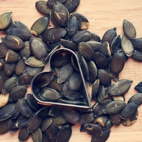 Lark Ellen Farm pumpkin seeds in resealable bag promoting on-the-go freshness