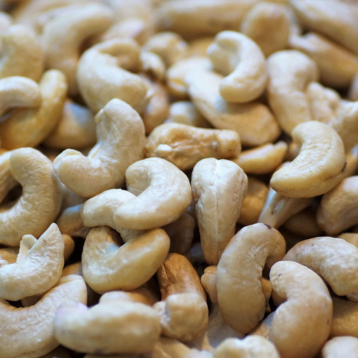 Lark Ellen Farm sprouted salted cashews in serving bowl beside coffee