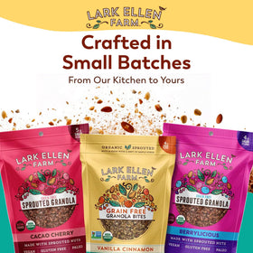Lark Ellen Farm Vanilla Cinnamon Granola Clusters resealable bag preserves freshness.