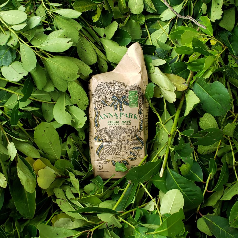 LATAM CONCEPT Anna Park Yerba Mate hand harvest shows careful picking and craftsmanship.