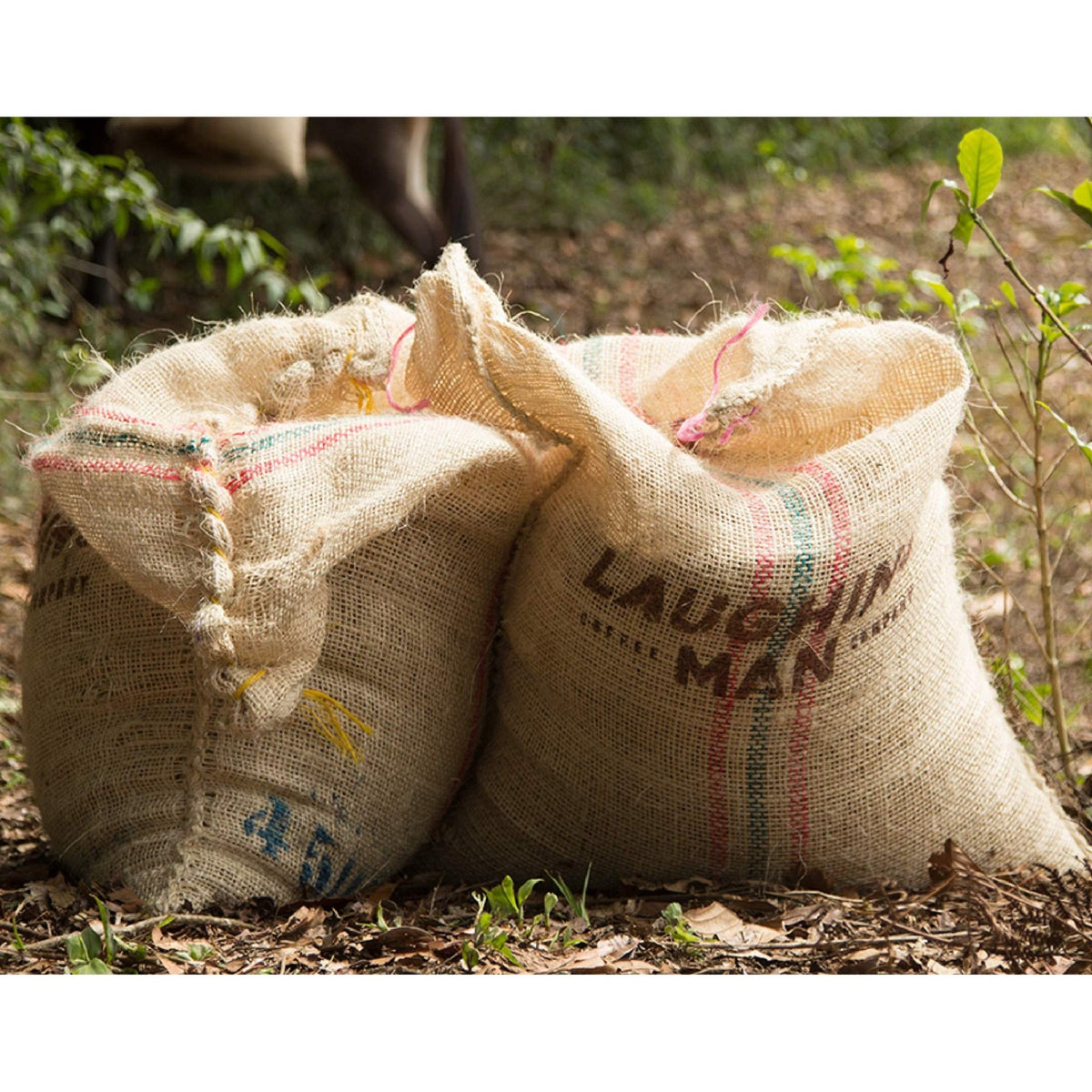 Large 88-count four-pack of Dukale's Blend ready for home or office.