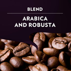 Lavazza Classy Mini machine ready for Expert Espresso Intenso capsules.