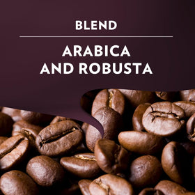 Lavazza Expert Intenso aroma notes emphasizing spice and smoke in the cup.