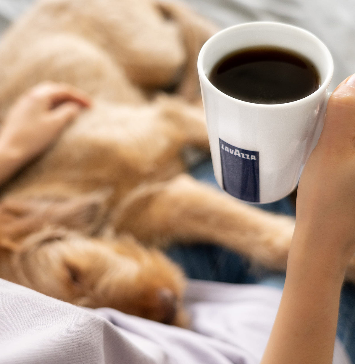 Lavazza Italian roasted blend delivering balanced taste and aromatic complexity.