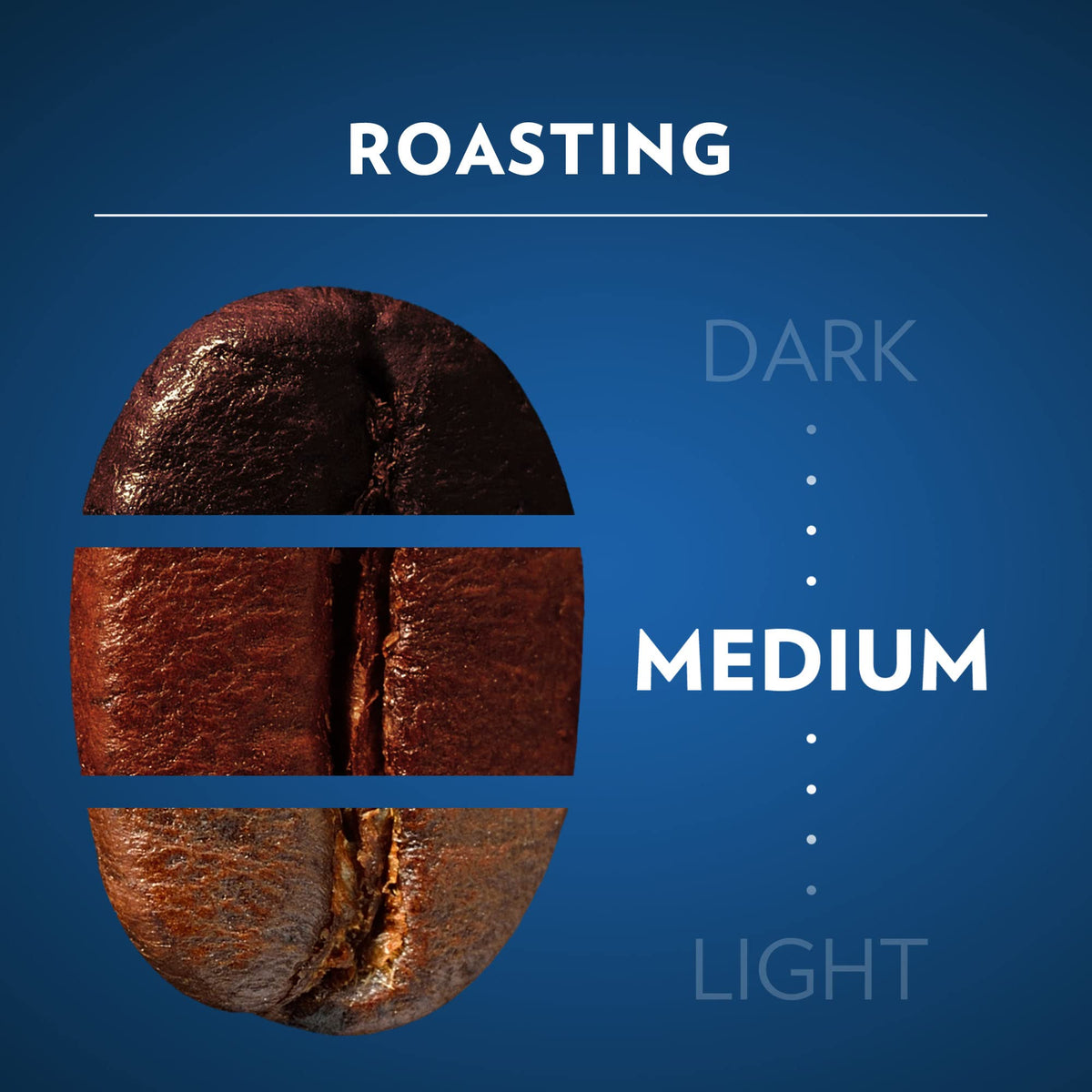 Lavazza Tierra Amazonia Peruvian-origin coffee beans hinting at aroma