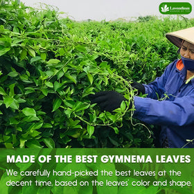 Lavendium aromatic gymnema steeped cup delivers a rich, mindful sip.