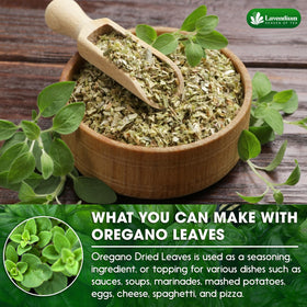 Lavendium oregano leaves closeup showing vibrant color and flavor.