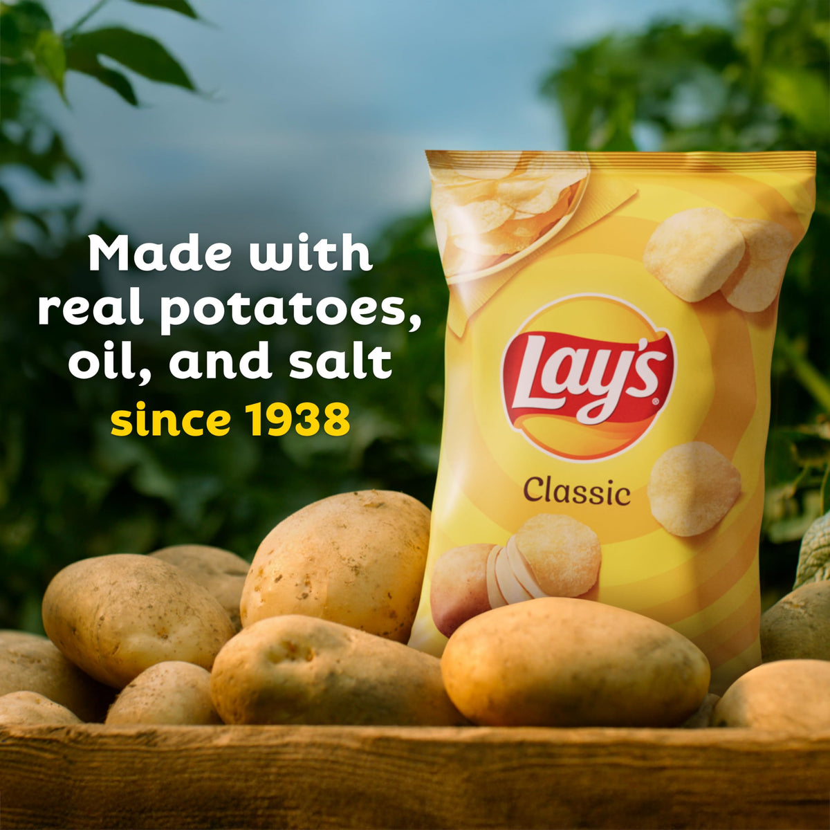 Lay's Limon flavor chips bags add tang to lunches.