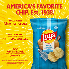 Lay's Salt & Vinegar chips 40-pack; convenient portions for lunchboxes