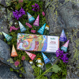 Lazika chamomile blend with calming aroma in a soothing herbal cup.