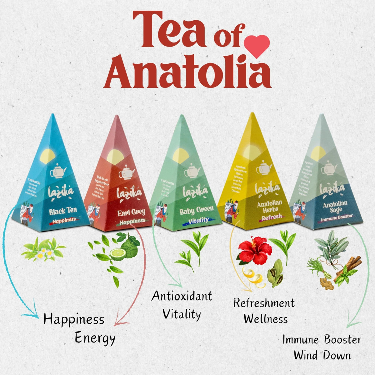 LAZIKA variety pack shown in its elegant box for delightful tea moments.