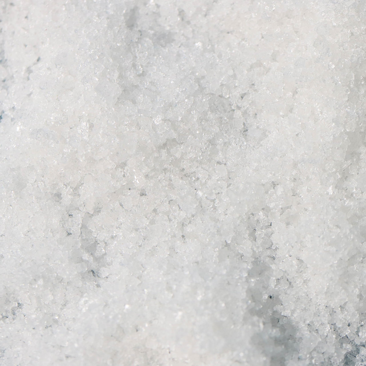 Le Saunier de Camargue hand-harvested fleur de sel artisanal craftsmanship