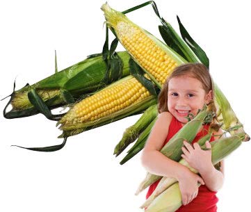 Le Veneziane corn pasta ingredients highlight corn flour and emulsifier