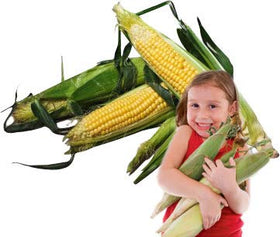 Le Veneziane corn pasta ingredients highlight corn flour and emulsifier