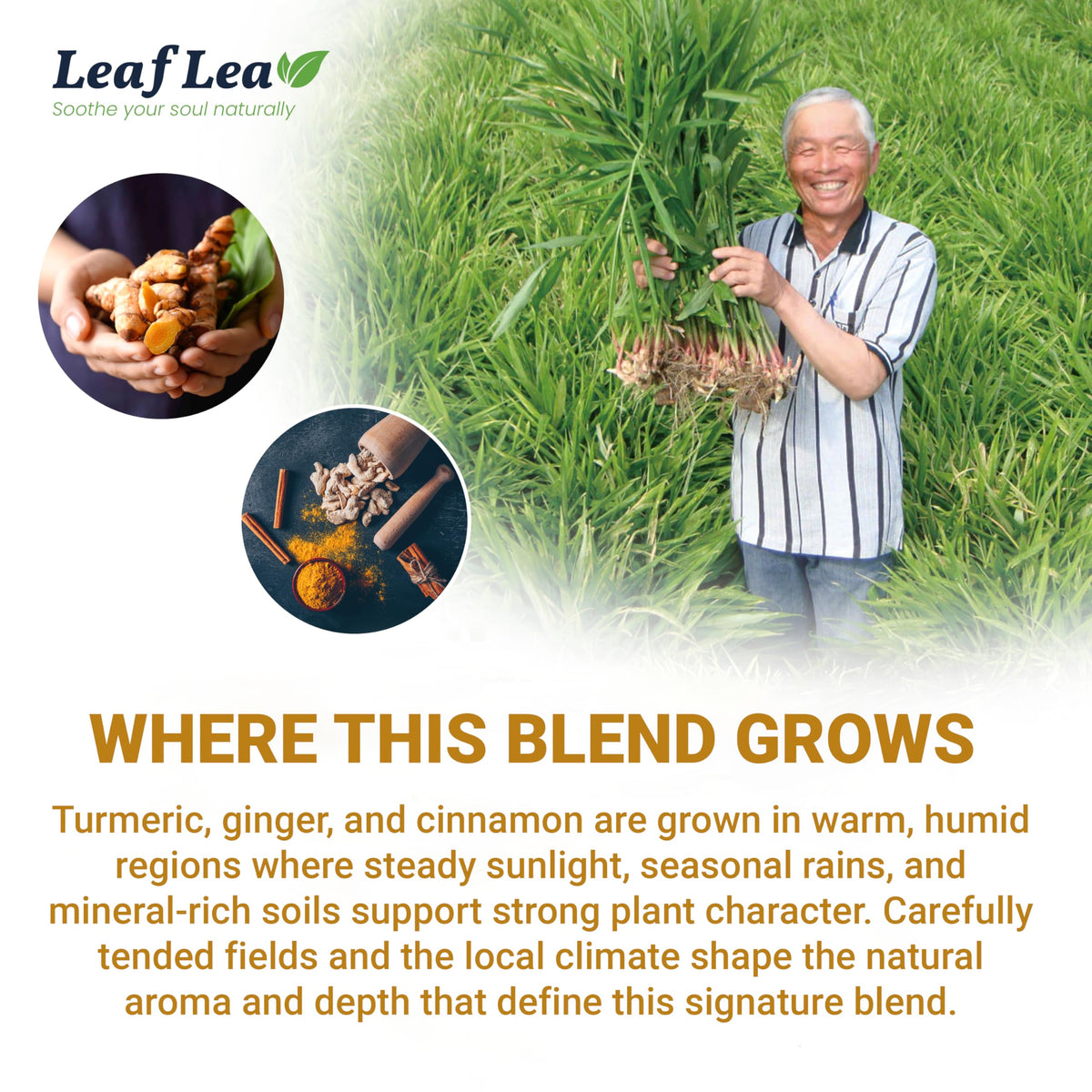 LeafLea bags highlight natural ingredients and vegan-friendly, caffeine-free profile.