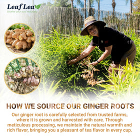 LeafLea 40 Ginger Tea Bags gift-ready packaging for thoughtful gifting.