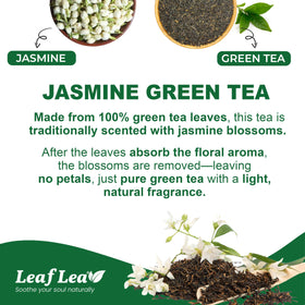 LeafLea jasmine green tea bag in a cup, smooth and light.