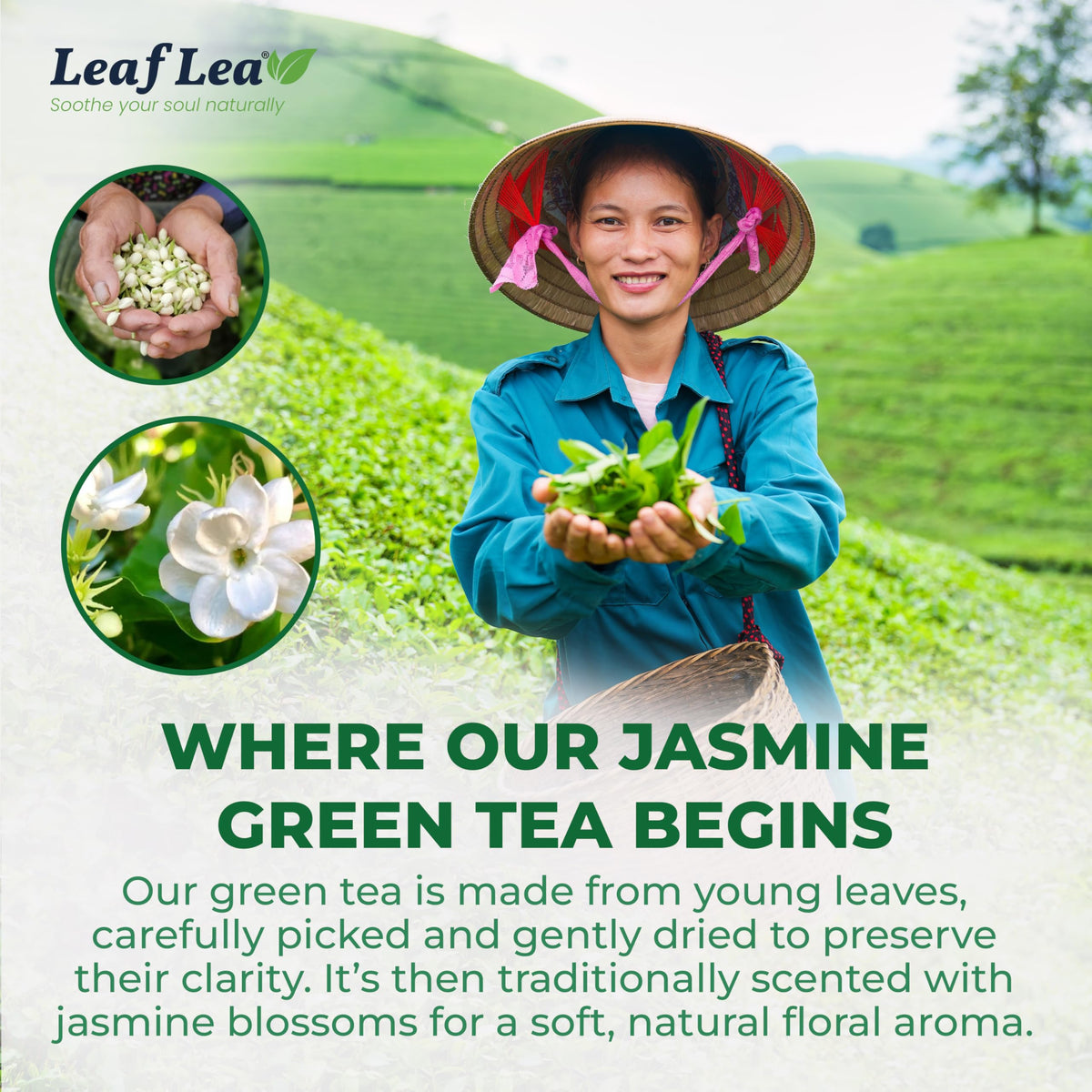 LeafLea jasmine tea steeping hot cup ready.