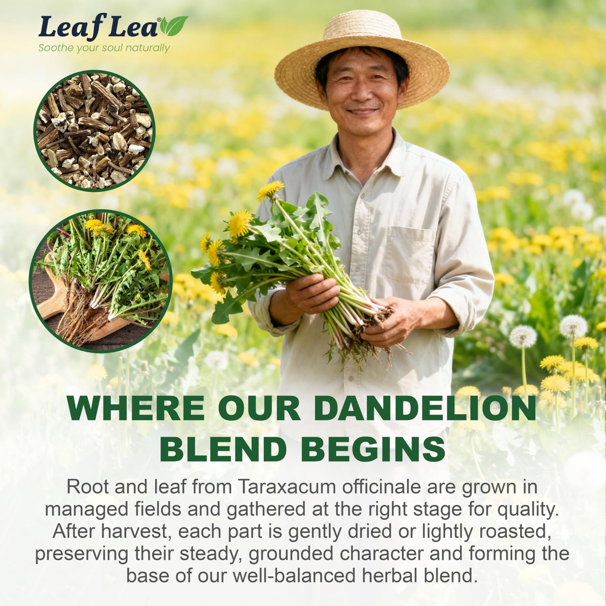 LeafLea box with tea bags ready for home, office, travel.