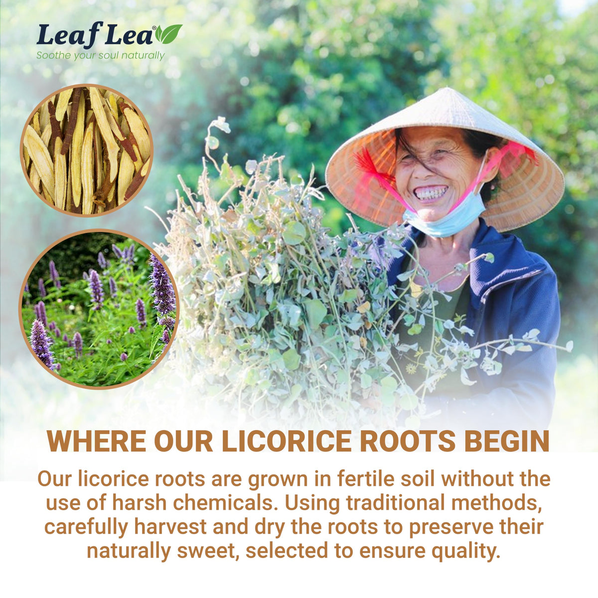 LeafLea box with tea bags displayed for on-the-go enjoyment.